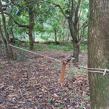 Sitio Encontro Das Aguas Brotas São Paulo Exteriér fotografie