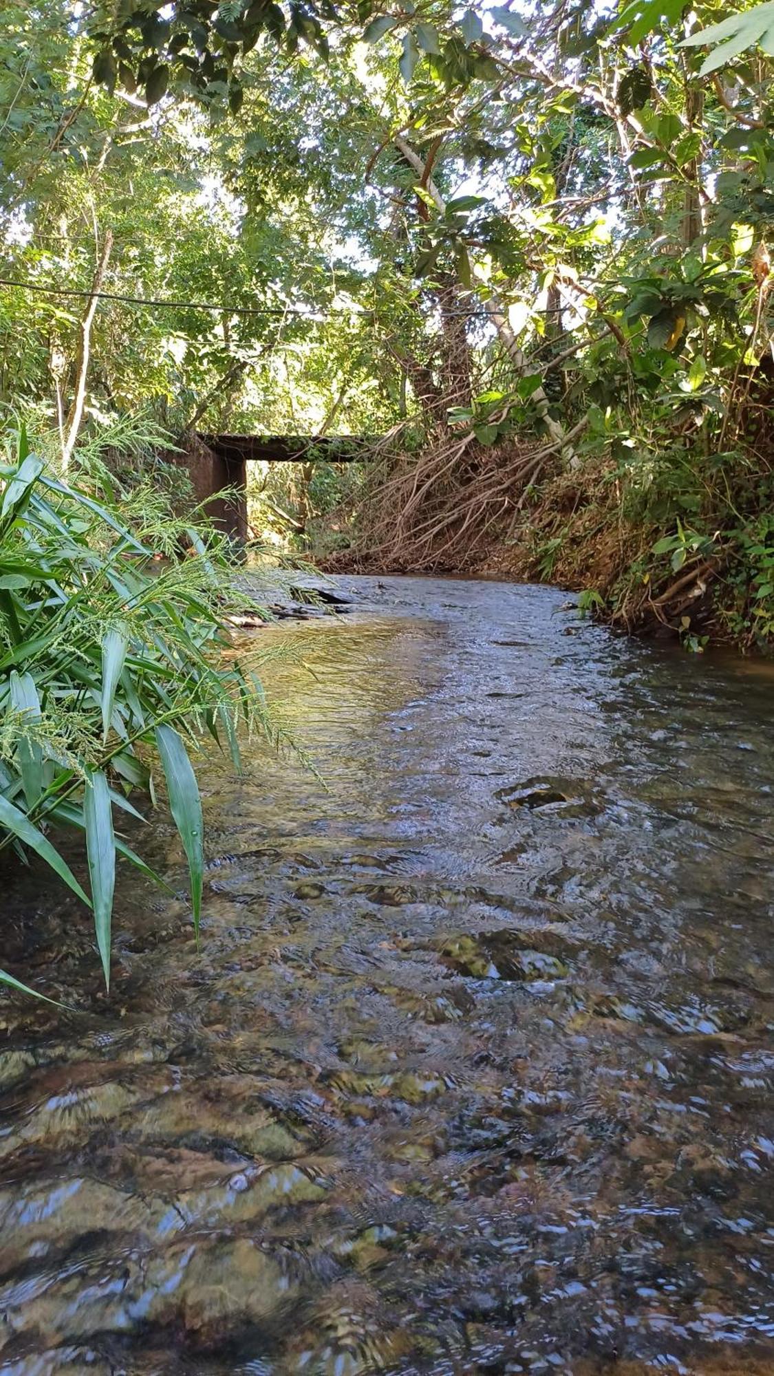 Sitio Encontro Das Aguas Brotas São Paulo Exteriér fotografie