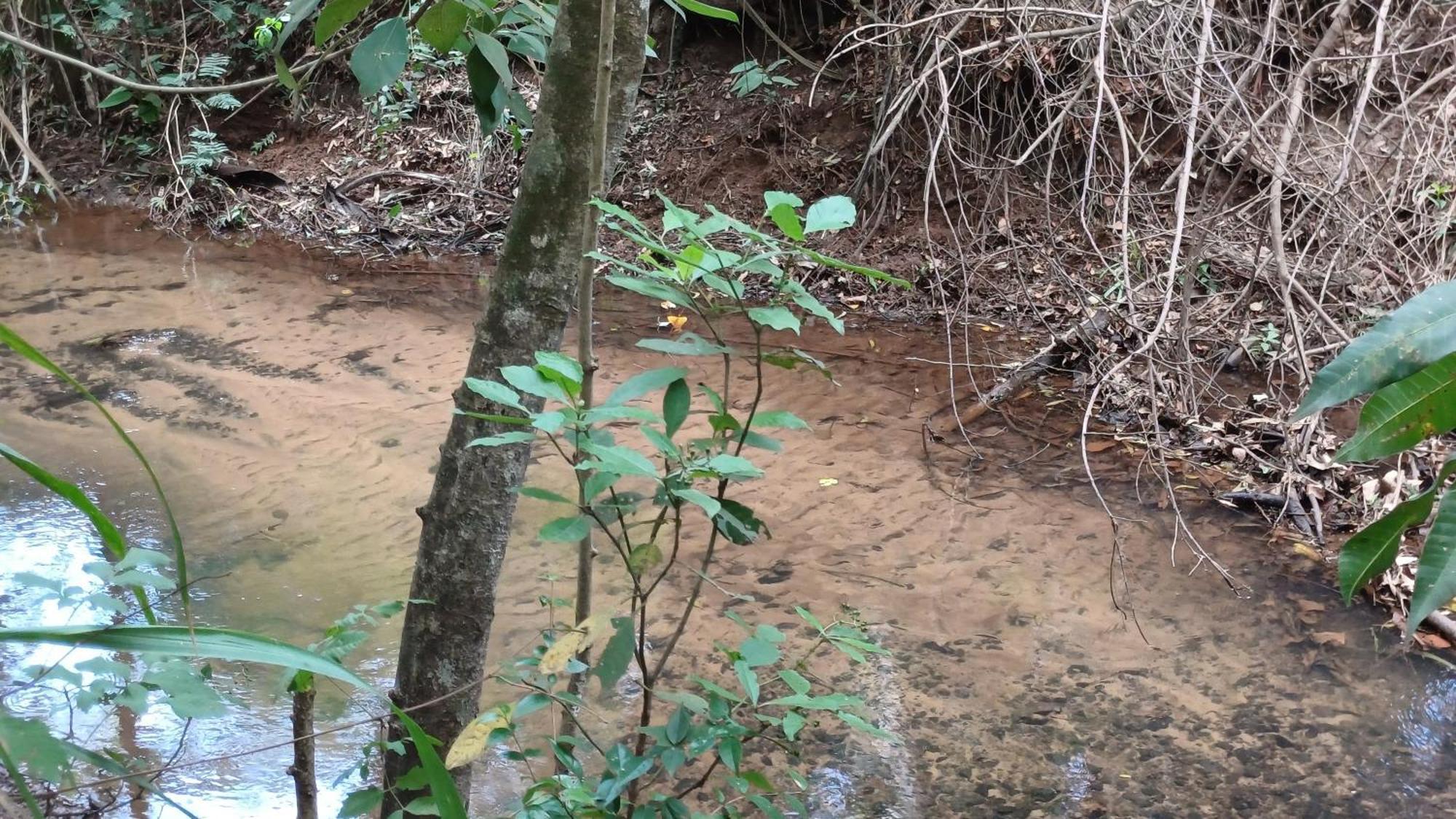 Sitio Encontro Das Aguas Brotas São Paulo Exteriér fotografie